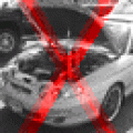 quit_sharkytiburon